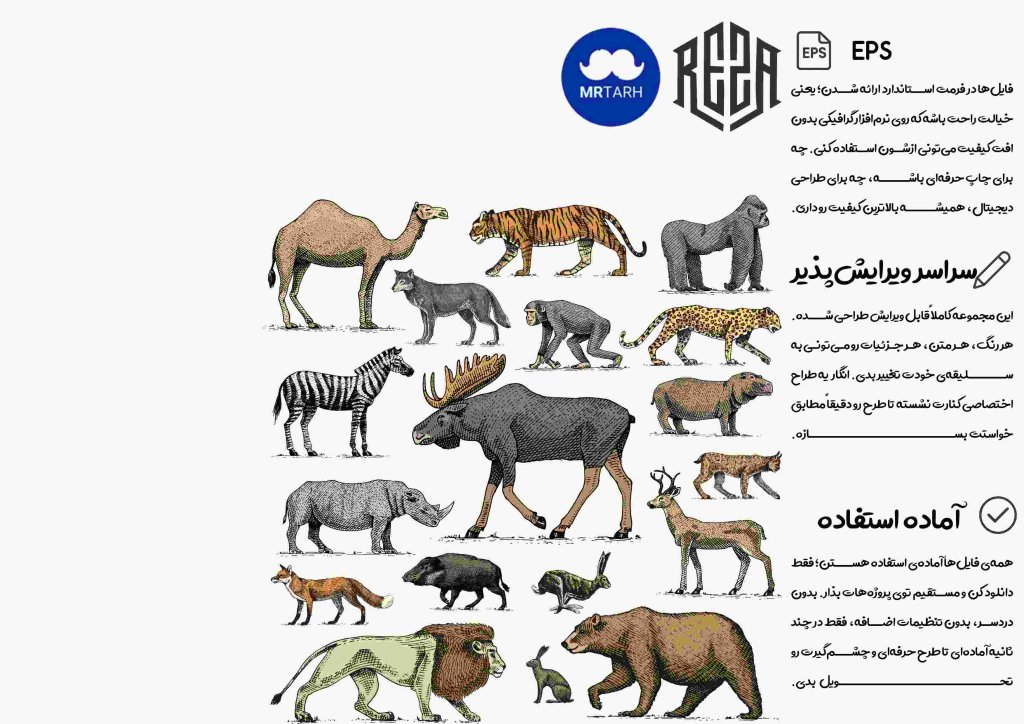 وکتور - آیکون | EPS