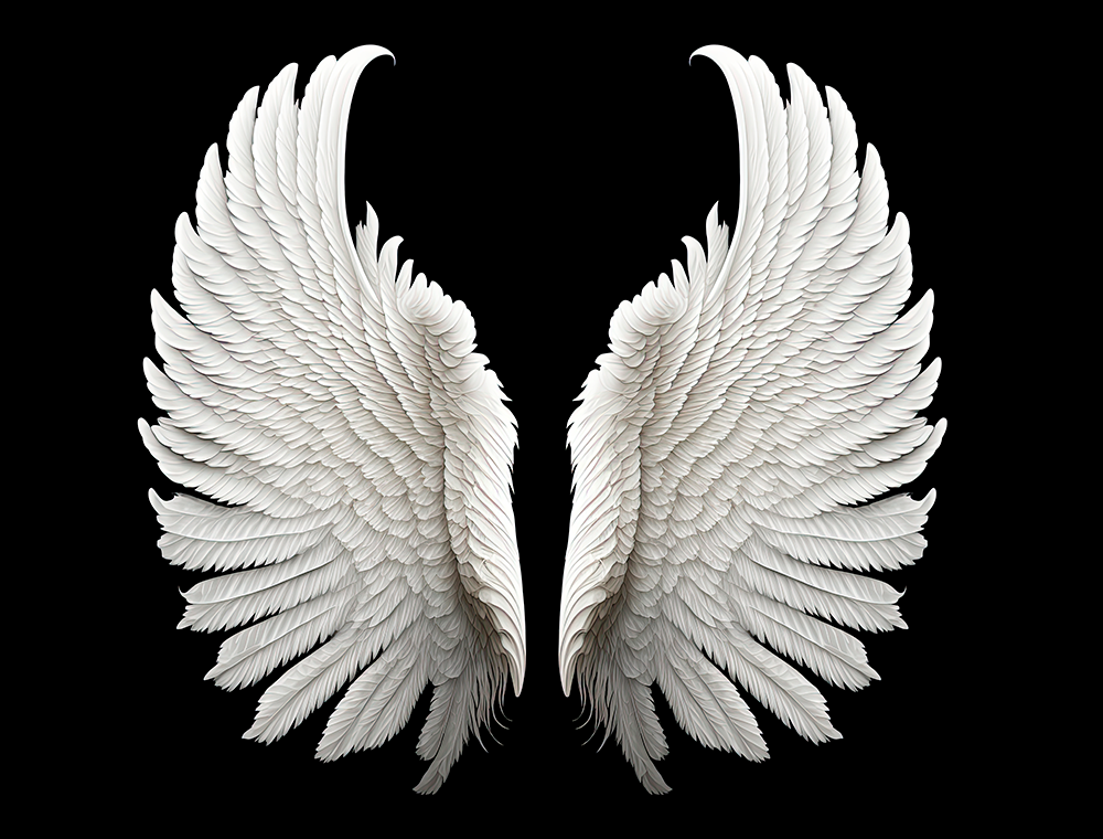 دانلود طرح با کیفیت بال فرشته 