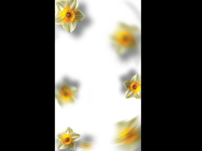 بکگراند ولادتی سفید گل دار 