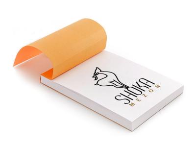  طرح لایه باز موکاپ دفترچه 