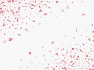 دانلود طرح لایه باز وکتور زیبای گلبرگ پراکنده طراحی