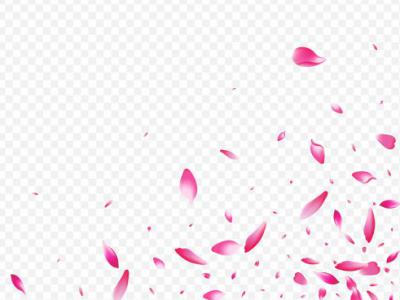 دانلود طرح لایه باز وکتور زیبای گلبرگ پراکنده طراحی