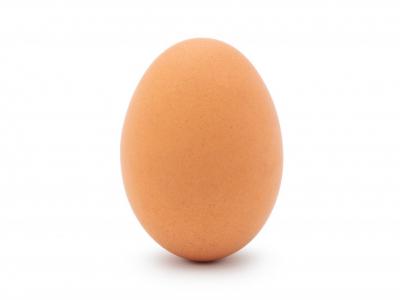 دانلود عکس با کیفیت تخم مرغ